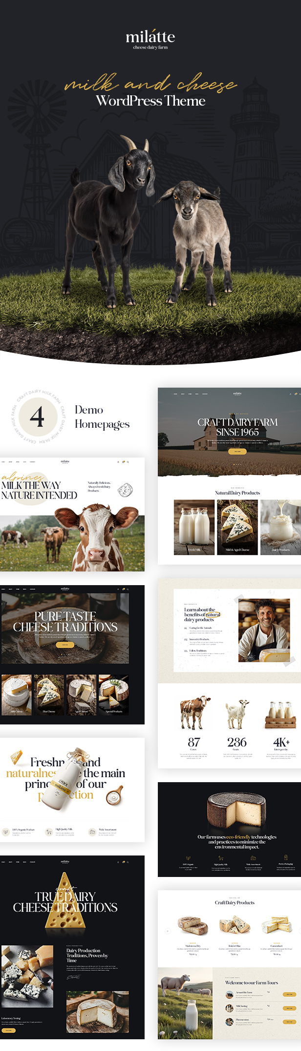 Milatte - Milk & Dairy Farm WordPress Theme - 4